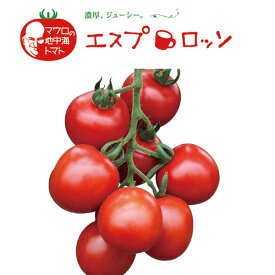 野菜の苗/イタリアントマト：エスプロッソ3号ポット 6株セット
