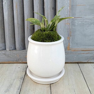 ϗtA/IgiNjFPOEA^XeEhSEMt