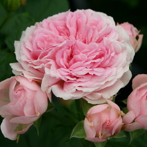 o̕c/lG璆փoFbTEoRjAc