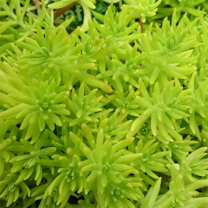 ϗtA/Z_FS[hr[eB[3|bg 6Zbg