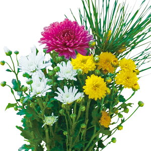 Ԃ̕c/e~bNXA2ig֓j4|bg