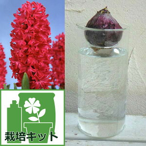 /qVX͔̐|ZbgFW{XiԁjƃKX|bgO