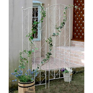 [��������]�u�����e�B�[�N�F�z���C�g�A�C�A���g�����XH147 2���g�i��42cm�A����147cm�j�iSPL-8923WHT�j