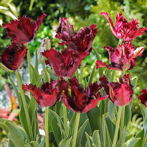 /`[bvip[bg炫jFubNp[bg10ZbgioExjiPj