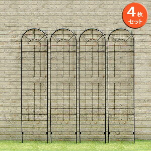 []ACAtFX50×221cm 4ZbgiYBIF-220-4Pj*