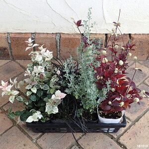 Ԃ̕c/߂412ZbgFH̃J[[tB