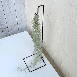 ϗtA/`WAFEXlICfXiXpjbVXjƃX^h̃Zbg