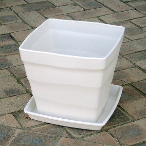 NtgXNGA25^zCgi25cmj󂯎Mt