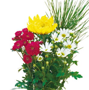 Ԃ̕c/e~bNXA1iցj4|bg