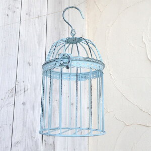 �o�[�h�P�[�W2M�^ABBG17-M20�i���C�g�u���[�j