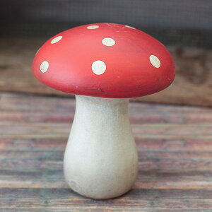 I[igF̂  ^11568i15.2×s14.6×18.8cmj