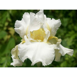 Ԃ̕c/W[}ACXFVN[u3.5|bg