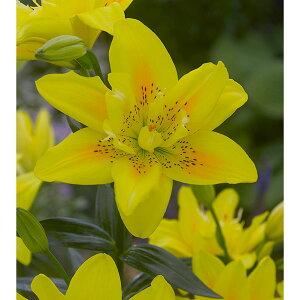 /id炷SjFt@^Ki 2 2Zbg