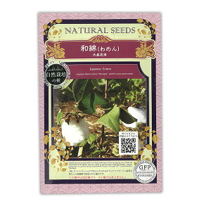 �Ԃ̎�F���R�͔|��q �a�ȁi�哇�ݗ��j[�Ԃ̃^�l]