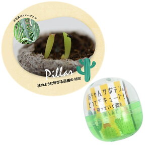 T{e͔|JvZFT{e~bNX 1[K`JvZɁAcޓyƃT{ẽ^l]