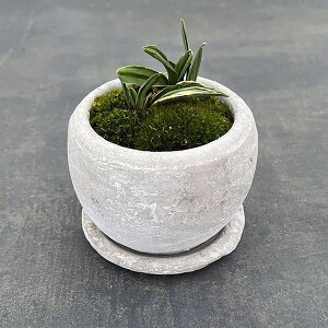 ϗtA/IgiNjFEA^[b^{ESSEMt