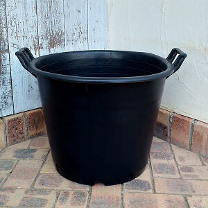 i[Z[|bgRPa50cm×39cmt