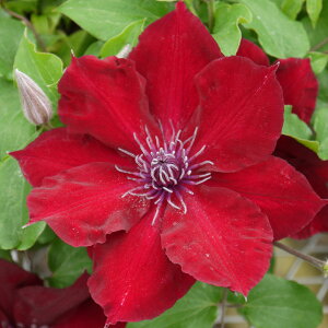 N}`X̕c/N}`XFkrA4|bgi炫֌nj