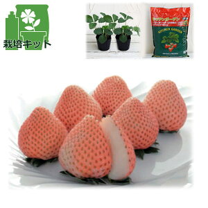 ؂̕c/̂񂽂͔|ZbgiłłjFij