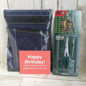 nT~FK[fjOGC-360-TƃVU[P[XinT~P[XjFFAD-1̃Zbgia߂łƂJ[htj