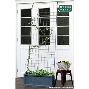 []ACAO[J[e Ot1i80cmA245cmj