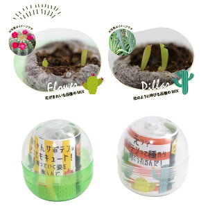 T{e͔|JvZF2Zbg[K`JvZɁAyƃT{ẽ^l]