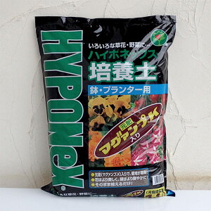 nC|lbNX|{y14bg 4܃Zbg