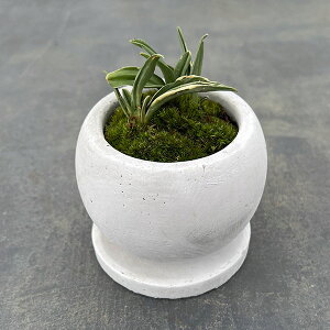 ϗtA/IgiNjFEA^}{EEMt