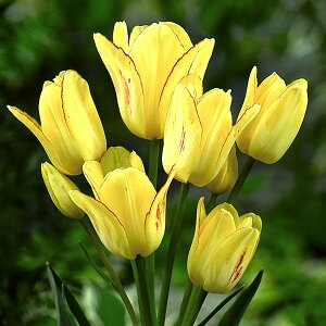 /`[bvidE}炫jFTVCNu4iɐԁj 2Zbg