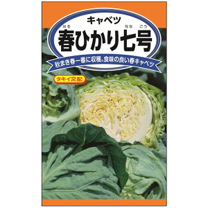 �L���x�c�F�t�Ђ��莵��[�t��ԂɎ��n�I��Ă₷���t�L���x�c�@��؃^�l]