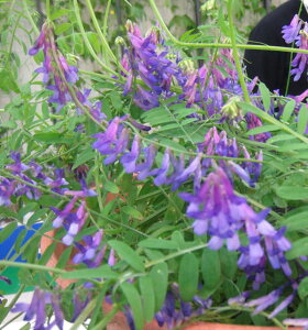 wA[xb`F܂߂ 20kg[^l]