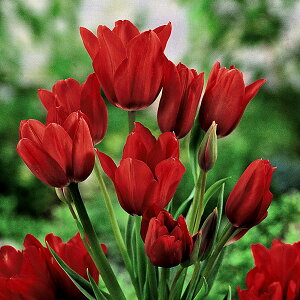 /`[bvi}炫jFt@CA[Nu4iԁj 2Zbg