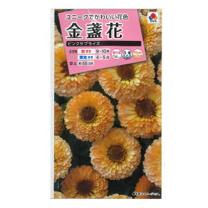 LZJiᵉԁjFsNTvCY[^LC ԃ^l]