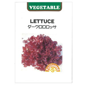 yL25N11zTj[^XF_[NbTiC^A؁j[؃^l]