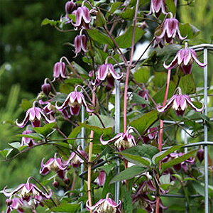 N}`X̕c/N}`XFWEtHv}4.5|bgiCeOtHAnj