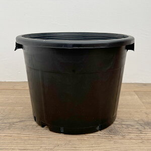 [IZ[]i[Z[|bgRPa38cm×28cmt