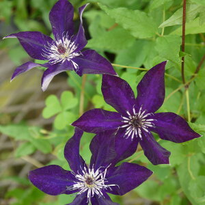 N}`X̕c/N}`XF\4|bg(r`Zn)