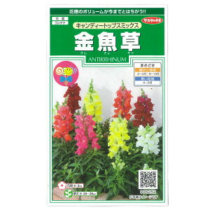 LM\EijFLfB[gbvX@~bNX̎[TJ^@ԃ^l]