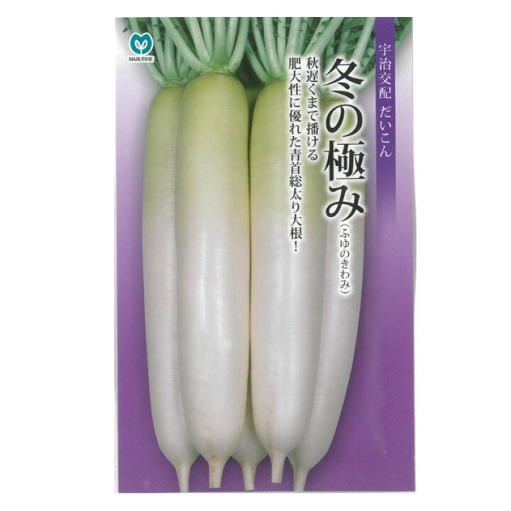 楽天市場】【有効期限26年05月】ダイコン（大根）：冬の極み : 園芸 