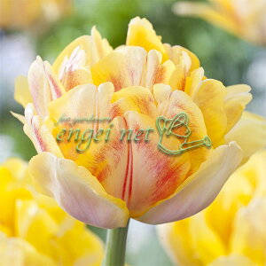 /`[bvid炫jFtHNV[tHbNXgbg5ZbgioExjiDEE炫j