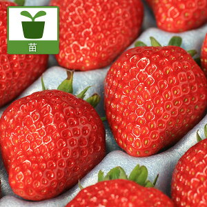 ؂̕c/C`SFv~AƂƂ3|bg 6Zbg