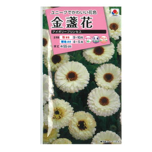 LZJiᵉԁjFAC{[vZX[^LC ԃ^l]