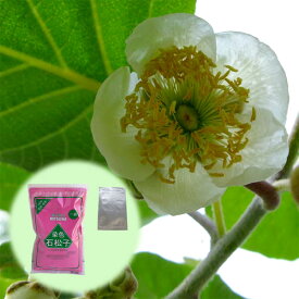 果樹の苗/キウイの花粉1袋と花粉増量剤・染色石松子（せきしょうし）1袋のセット