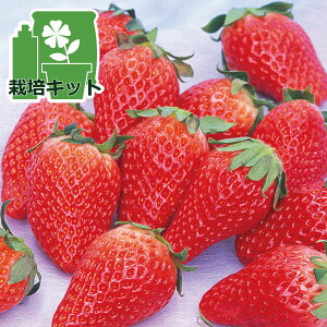 ؂̕c/̂񂽂͔|ZbgiłłjFɂقij