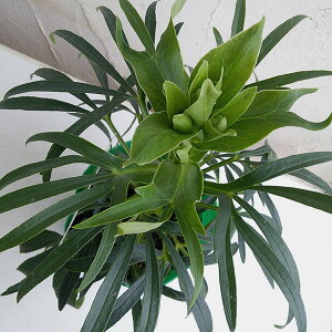 i[Z[̃NX}X[YinjFtF`_XinIj3.5O|bg