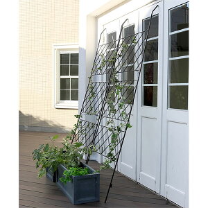 []ACAO[J[e A[KC2gi80cmA245.5cmj