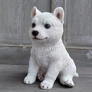 K[fI[igFāij^13469i21cmj