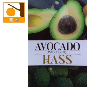 ʎ̕c/A{JhFnX5|bgiږؕcj