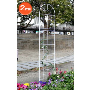 []NVbNtFX220 nC^CvEzCg2gi100cmA220cmj