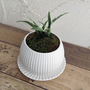 ϗtA/IgiNjFPOEA^sX{EEMt